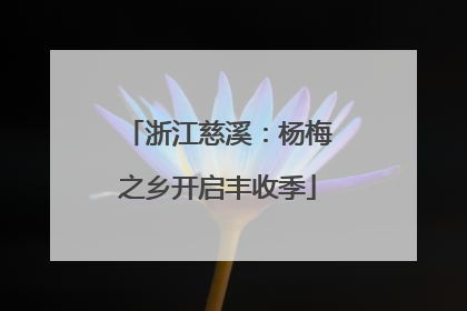 浙江慈溪：杨梅之乡开启丰收季